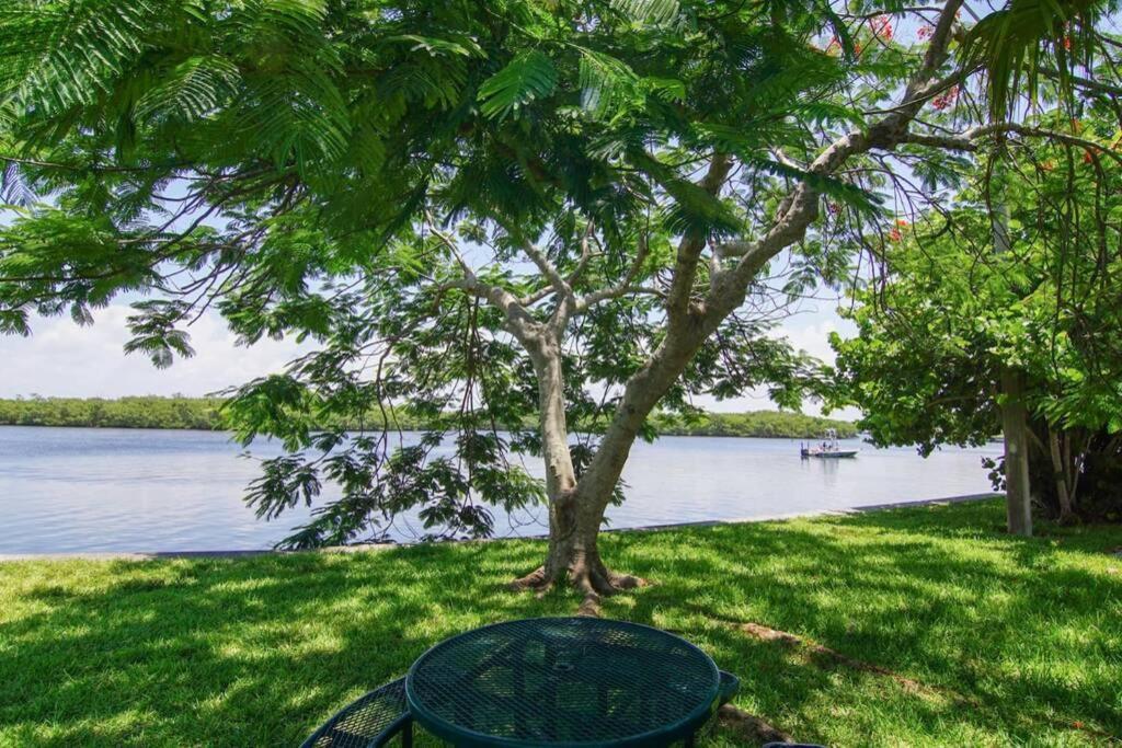Riverview, Studio 507, Beach Steps Away!+Pool+Wifi Раскін Екстер'єр фото